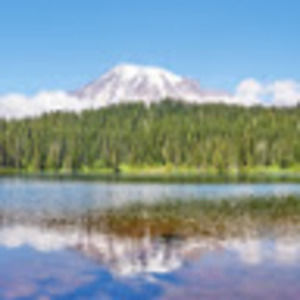 Meet your Posher, Sam's